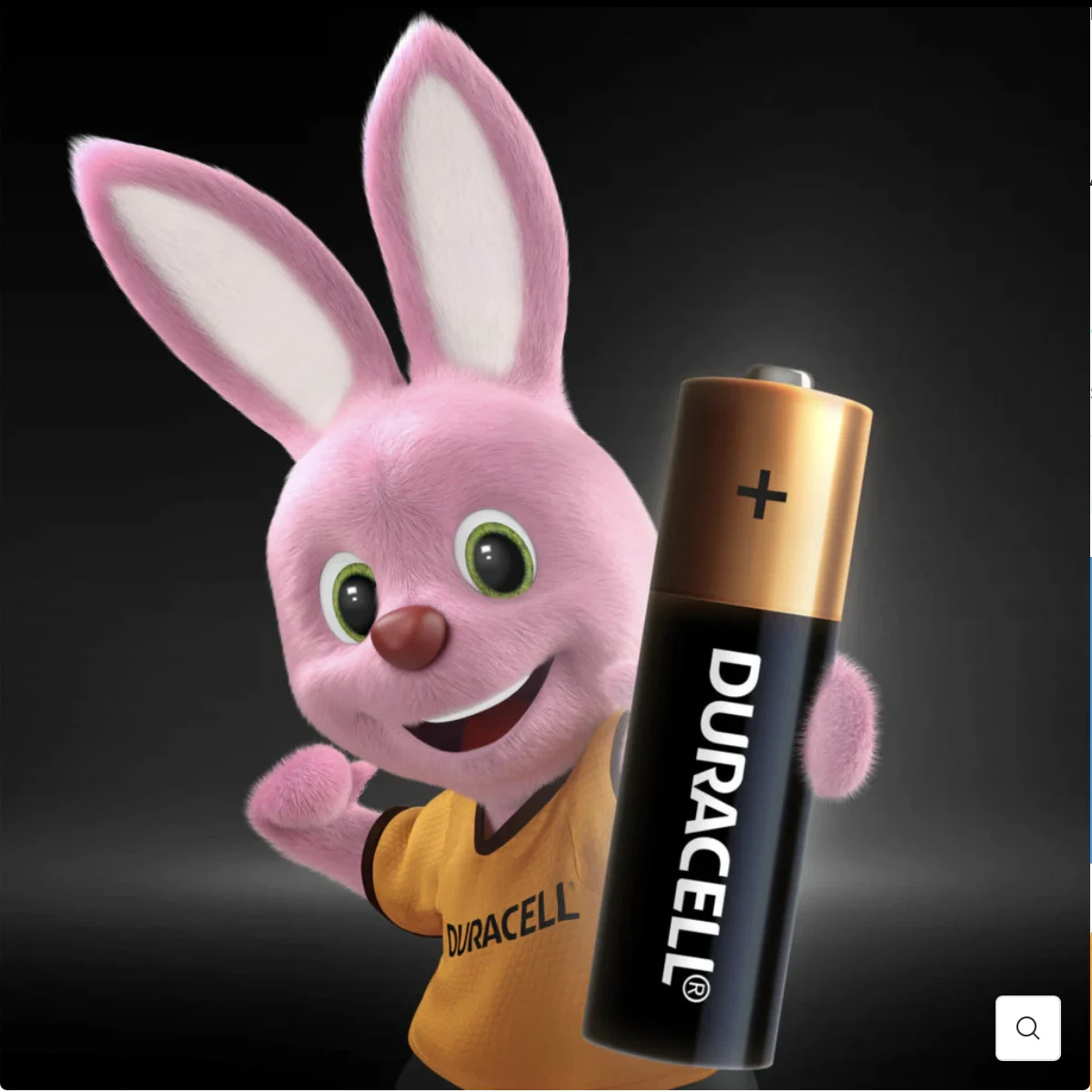 duracell aa aaa